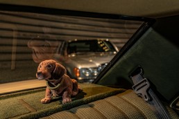 ie Hutablage: Hutablage in einer Mercedes-Benz Limousine der Baureihe 124 mit seitlichen Aussparungen für die pneumatisch versenkbaren Kopfstützen im Fond und einer Mulde für die Unterbringung des Verbandskastens. Foto aus dem Jahr 1984.