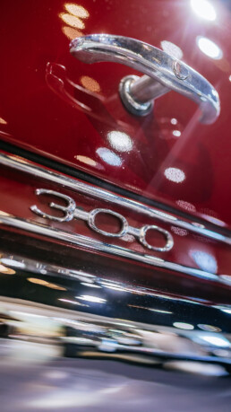 Mercedes-Benz 300 (W 186) aus dem Jahr 1952 im Mercedes-Benz Museum, Raum Mythos 4: Wunderjahre – Form und Vielfalt, 1945 bis 1960. Detailaufnahme der Typbezeichnung auf dem Heckdeckel. Foto: Thomas Niedermüller. (Fotosignatur der Archive von Mercedes-Benz Classic: D879082)