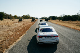 140 Years. 140 Places. Die neue S-Klasse tourt durch Afrika – Impressionen von ihrer Route durch Tansania und Botswana, von Dodoma bis zum Chobe-Nationalpark