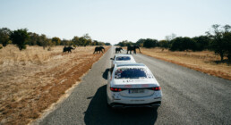 Globale Tour „140 Years. 140 Places“ der Mercedes-Benz S-Klasse im Jahr 2026. Im August tourte sie durch Afrika. (Originale Fotosignatur: 26C0031_604)
